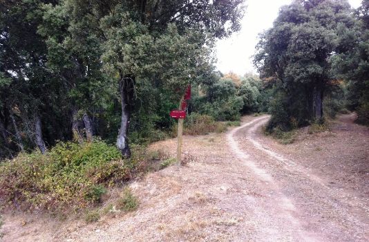 Cruce de caminos en las proximidades de Bellojín