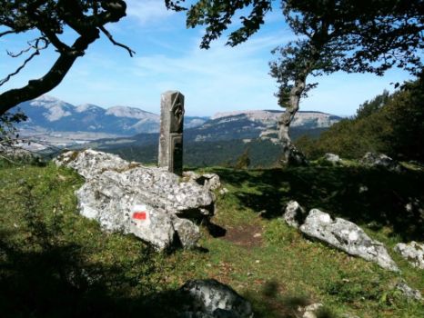 Pico Arrigorrista, con hayas deformadas por el viento