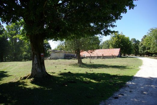 Chabolas en la majada de Lazarugi