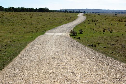 Pista hacia el Monte de las Limitaciones y el Puerto Viejo de Baquedano