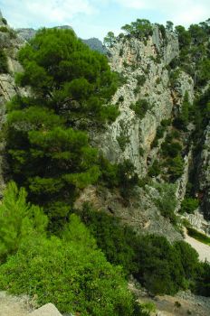 Crestas calizas verticales que se hunden en el río Canaletas