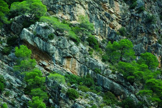 Cañón del río Canaletas