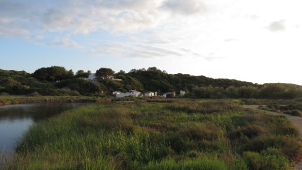Albufera de Es Grau