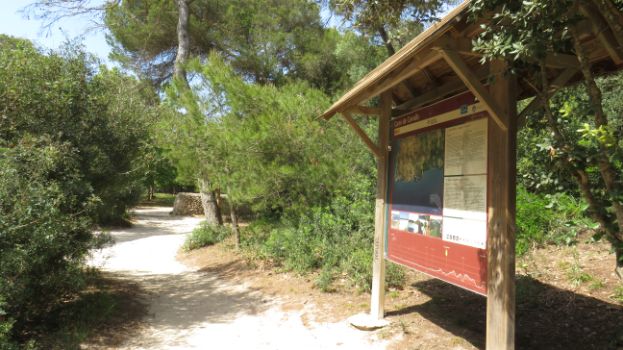 End of Stage 12 Information Panel