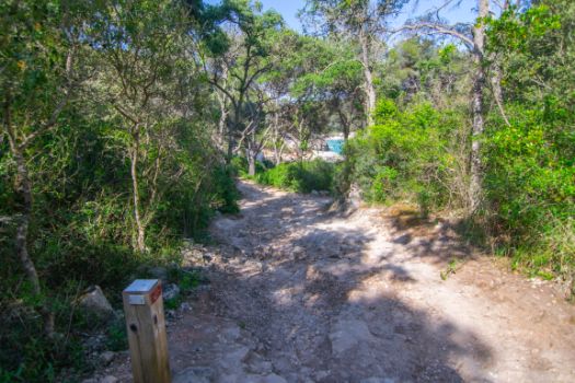 The descent to Mitjana Cove is a little bumpy in some parts
