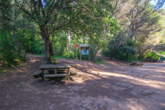 Resting area at the access to Mitjana Cove