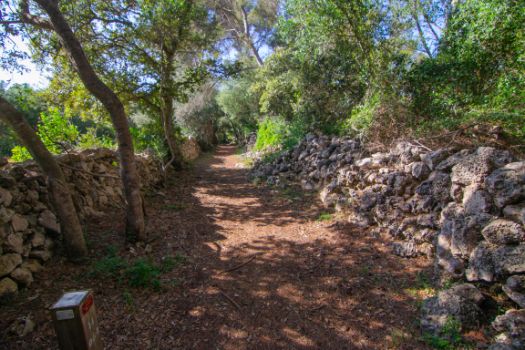 In many sections the Nature Trail runs between the stone walls of private estates