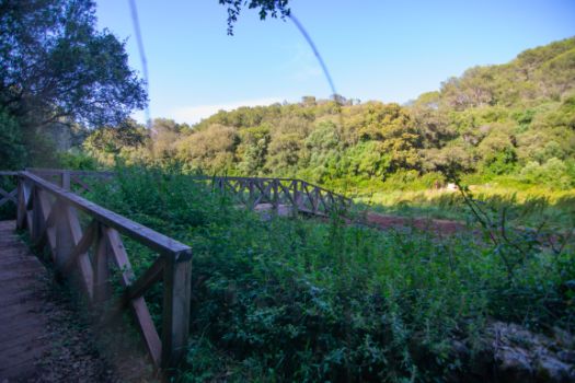 The Sa Cova ravine is bridged by a wooden footbridge