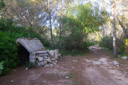 Stone shelter in the middle of the forest