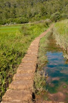 Paso de piedra por el Prat de Son Bou