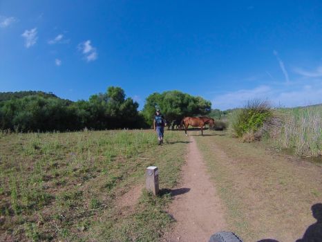 Caballos y senderistas compartiendo el Camino Natural Camí de Cavalls