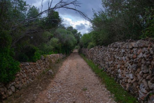 Aspecto típico del camino entre los muros de piedra que delimitan las fincas