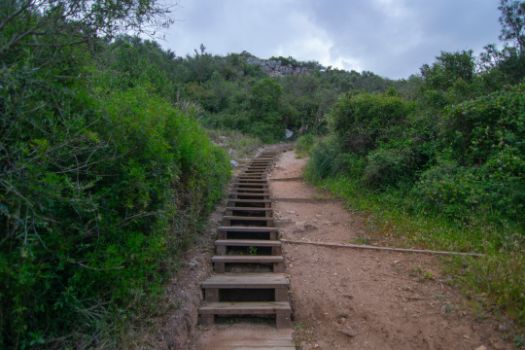 Para facilitar la dura subida desde el barranco de Cala en Porter, se han instalado diferentes tramos de escaleras de madera