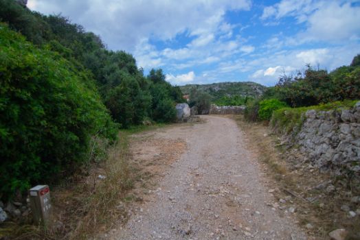 El camino en un entorno plenamente agropecuario, entre fincas de frutales y, al fondo, un pozo con abrevadero para el ganado. 