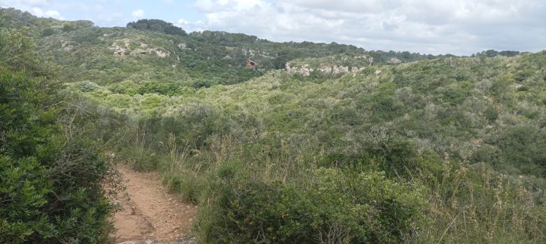 Panorámica de ascenso al otro lado del barranco de Santo Domingo