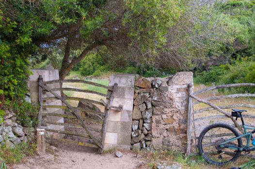 Barrera menorquina en Camí de Cavalls