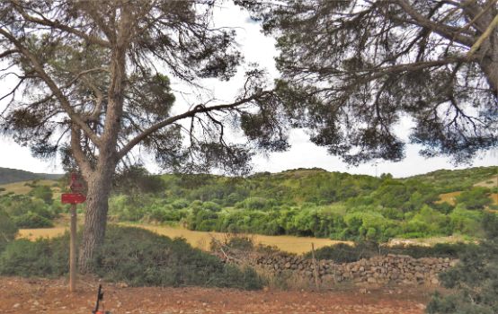 Agroforestry mosaic in the Camí de Cavalls