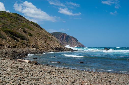 Vista oeste de la playa de Els Alocs