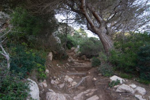 El camino se vuelve algo abrupto a la salida de Cala Fontanelles
