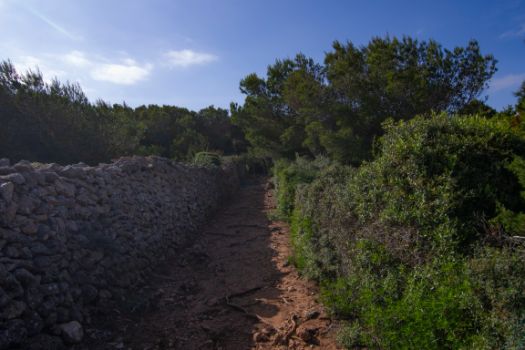 El camino discurre pegado al muro de piedra de una finca agropecuaria. 