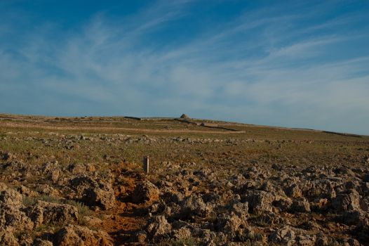 Baliza del Camino Natural Camí de Cavalls y barraca al fondo