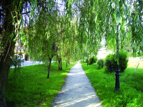 Ruta junto a la urbanización "La Campanilla"