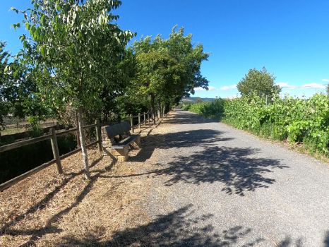 Aspecto general del camino entre la salida de Cacabelos y la entrada a Quilós