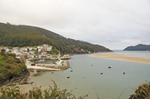 O Barqueiro