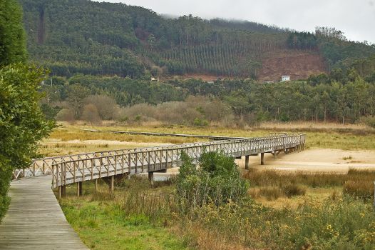 Estuario de Esteiro