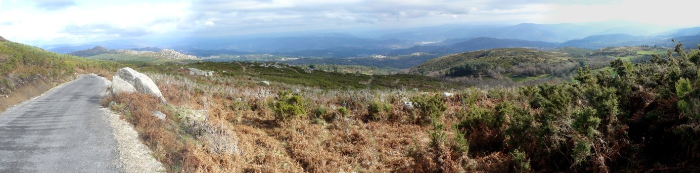 Panoramic view of the Ribeiro region