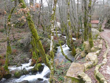 Part of the route runs parallel to the Maquiás stream