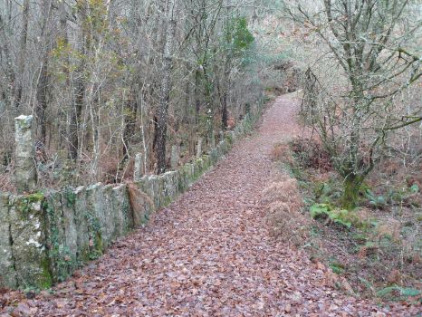 The path is flanked by a low wall made of vertical flagstones, a traditional construction in the area