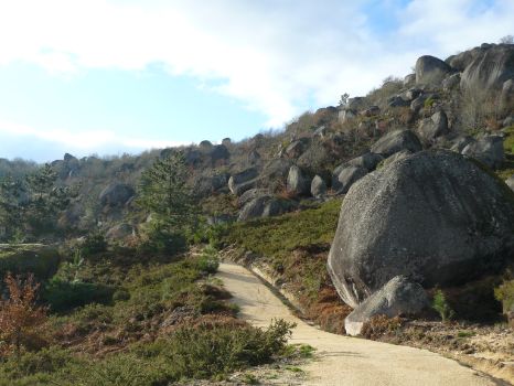 As it gains altitude, the route winds its way through bush and granite boulders