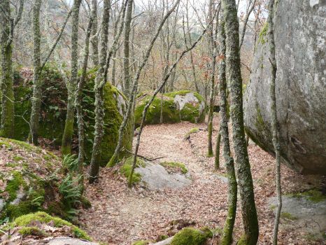 A faint path winding its way through forest and large granite boulders