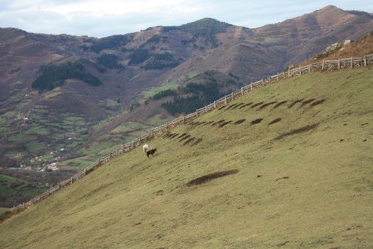 Paisaje desde el sendero durante la subida