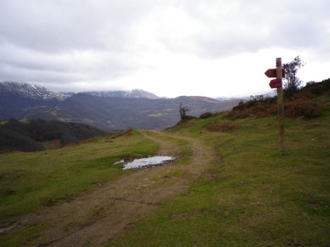 Mayáu de La Felguera