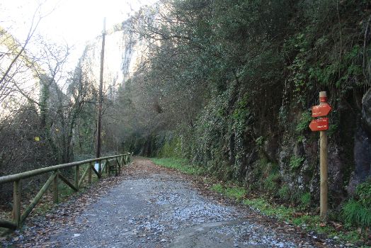 Tramo protegido por valla de madera entre la vegetación de la zona