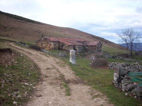 Venta de Porcabezas