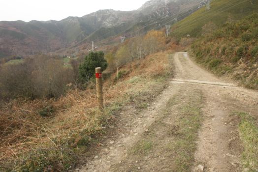 Desde el Collau de Pandejana parte una pista de zahorra hasta Carreña