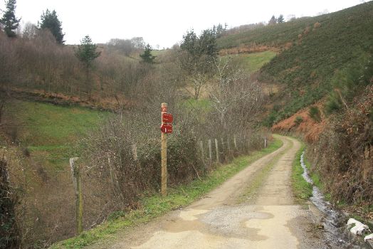 Subida del camino en la primera parte de la etapa