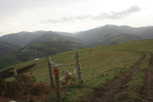 El camino atraviesa los pastos de la Sierra de Santa Flor en dirección sur