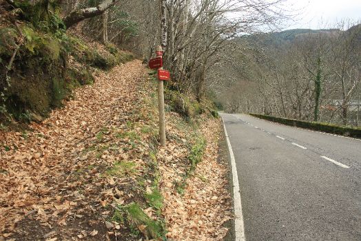 El trayecto principal toma la carretera AS-14 para llegar al embalse de Salime