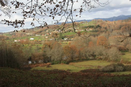 Vista de río Piloña y el bosque de ribera