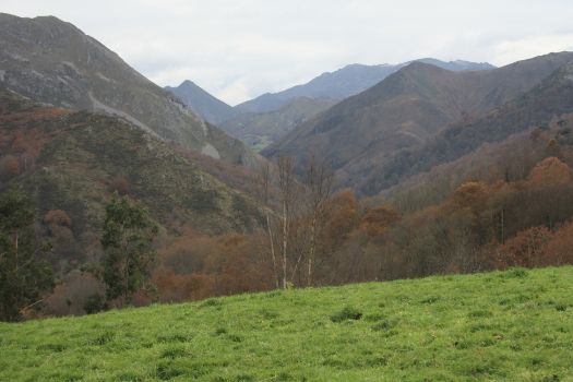 Paisaje del último tramo del camino en dirección a la población de Villamayor
