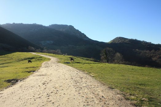 El camino asciende hasta Les Praeres, un paraje de ganado y pastizal