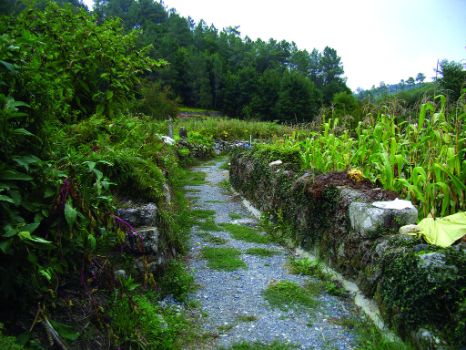 Camino entre muros