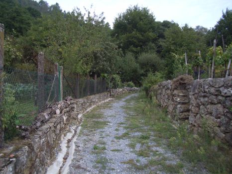 A gravel path between low stone walls, at the start of the trail
