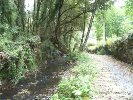 The route continues alongside the Varón stream