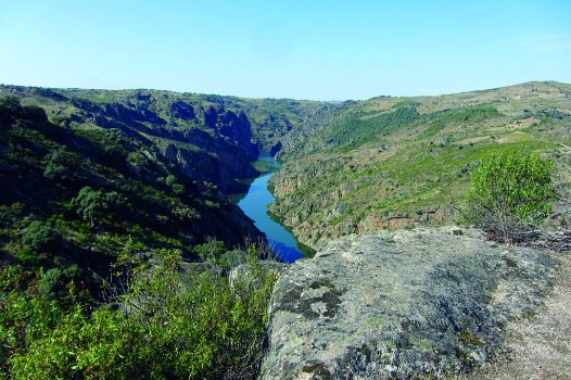 Vista del río