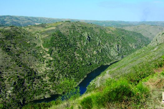 Vistas sobe el río